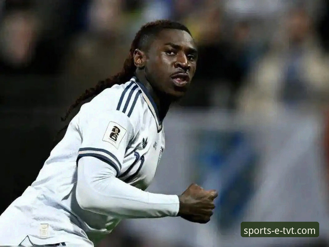 四星意大利连续三届无缘世界杯：波黑点球大战胜出，TVT体育平台深度复盘